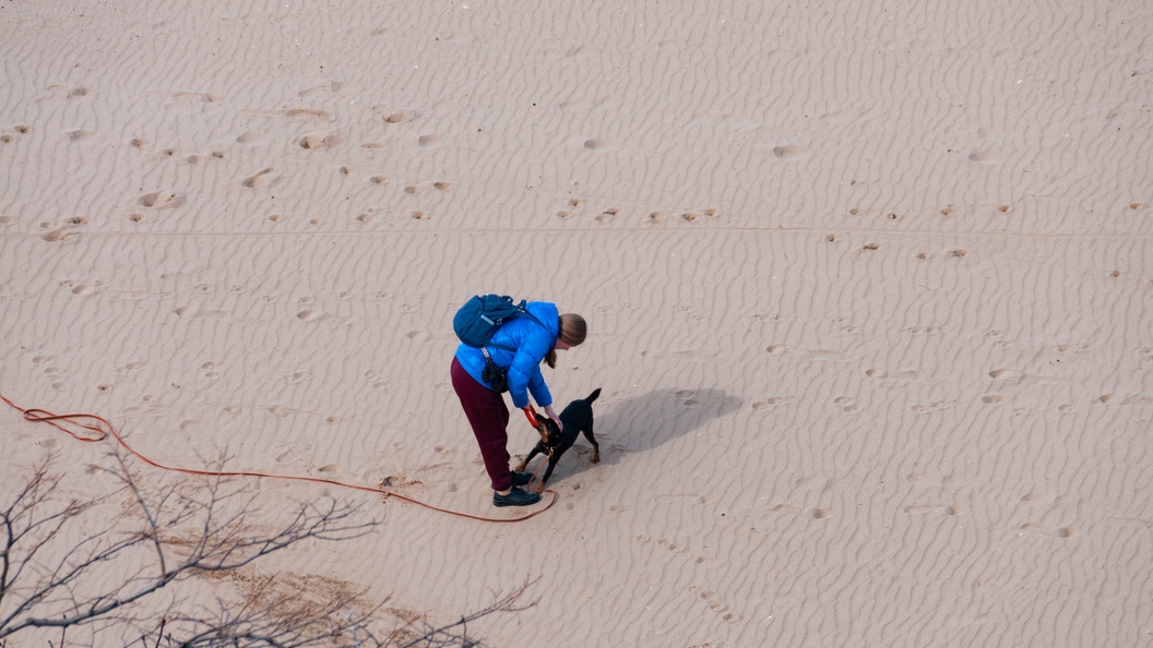    фото: Svetlana Vozmilova/Globallookpress