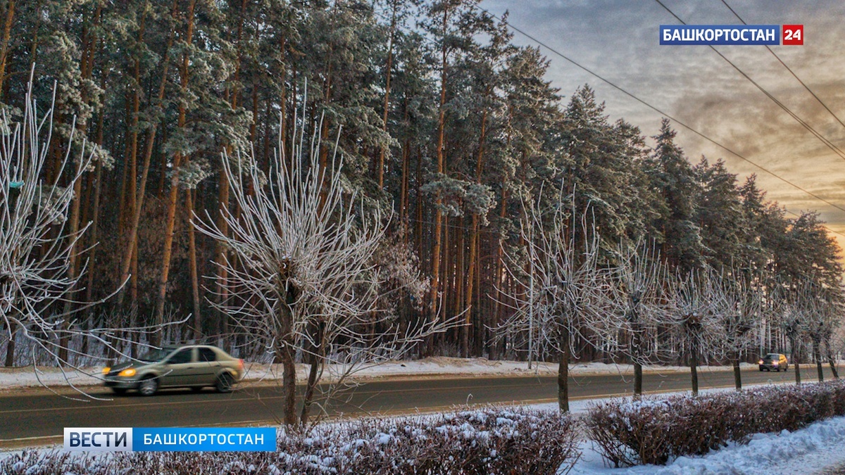    Мокрый снег и по-зимнему тепло: синоптики рассказали о погоде в Башкирии 22 декабря