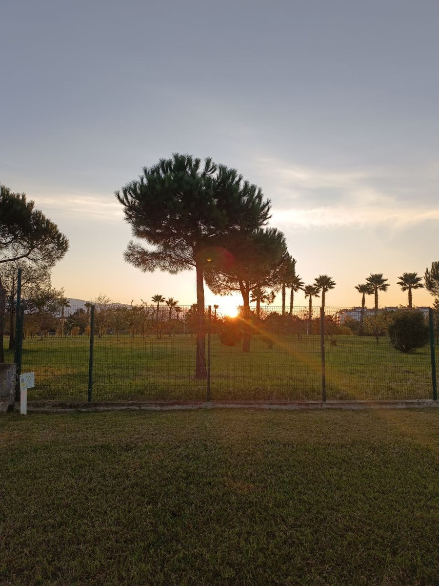 Фотография с моего повышения квалификации в "Сириусе"