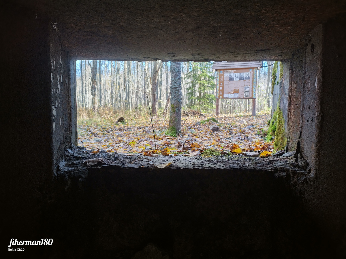 Вид из амбразуры дота SK-2 Фото автора статьи.