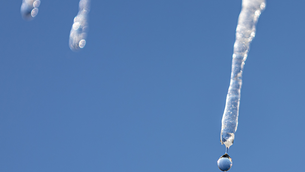    Edgar Breshchanov/Global Look Press