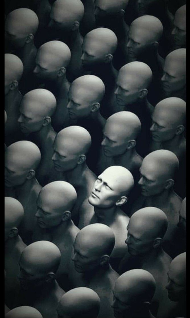 Из открытых интернет источников 