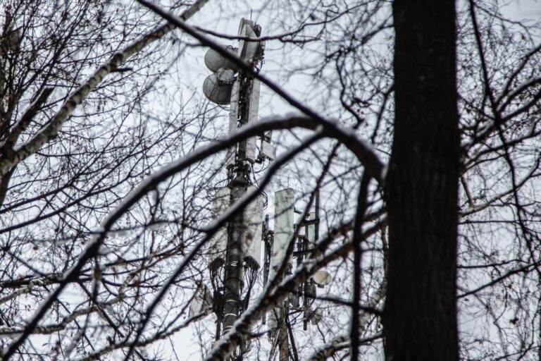    Фото: Общественная Служба Новостей Анастасия Давыдова