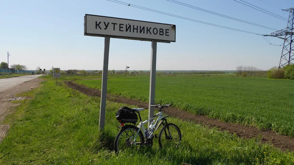 фото из свободного доступа