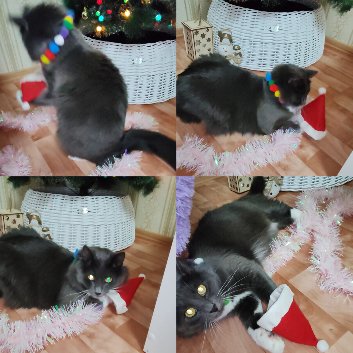 Фото автора канала. 