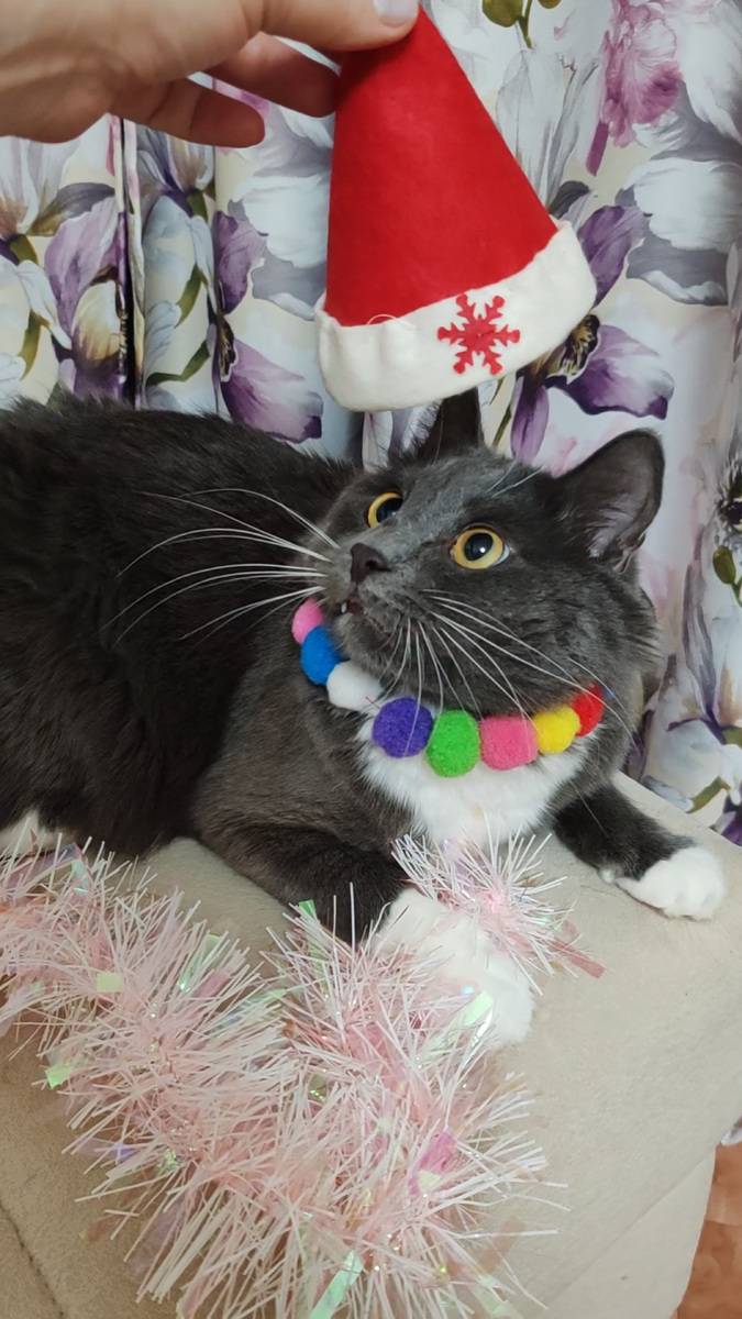 Фото автора канала. 