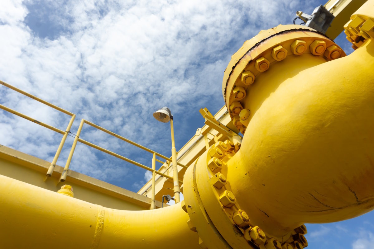    Фото: MR.Zanis / Shutterstock.com