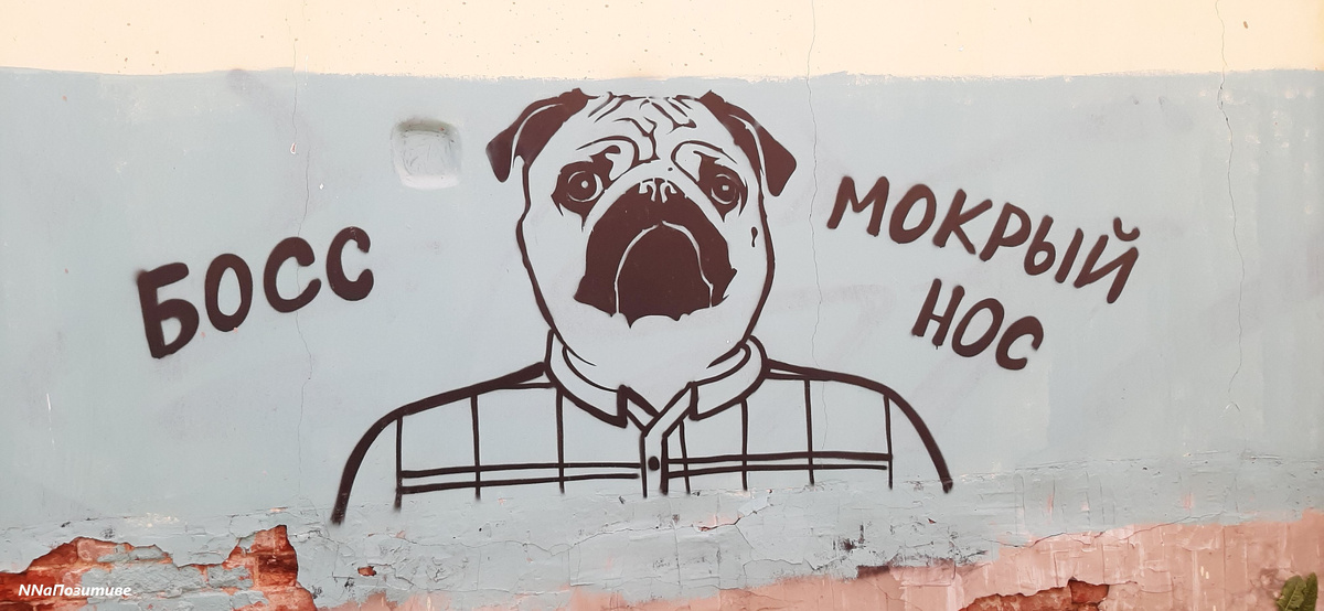 Босс мокрый нос