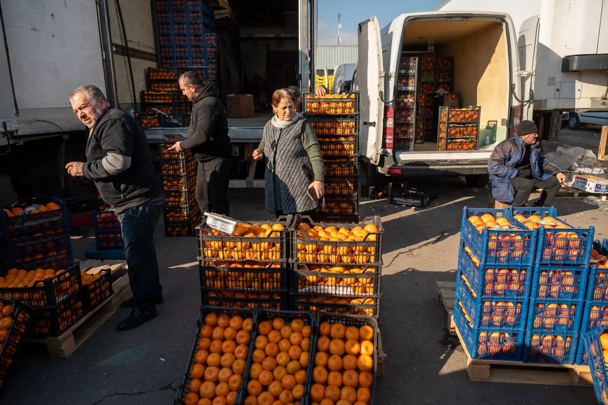 © Sputnik / Aram Nersesyan
