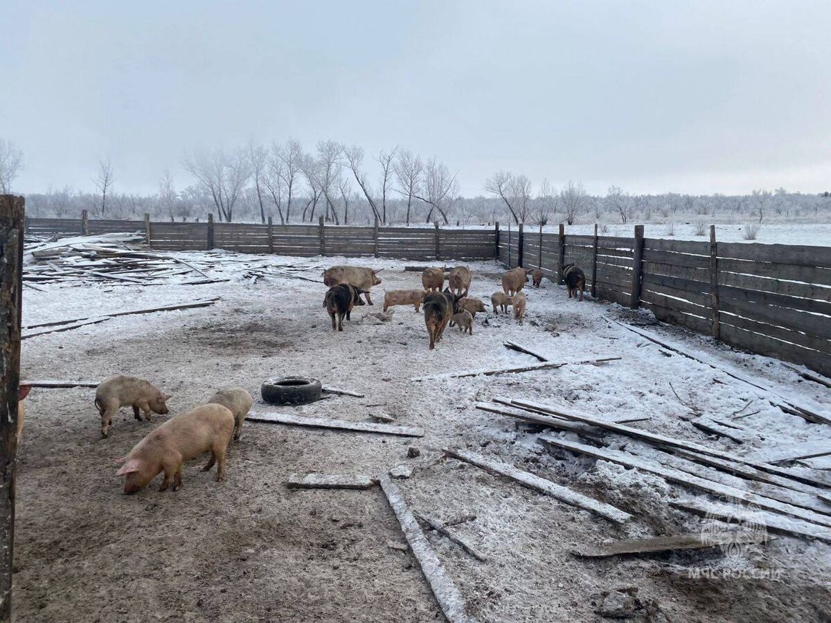    Фото: Telegram-канал «МЧС России»