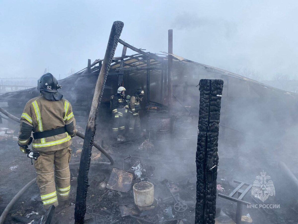    Фото: Telegram-канал «МЧС России»