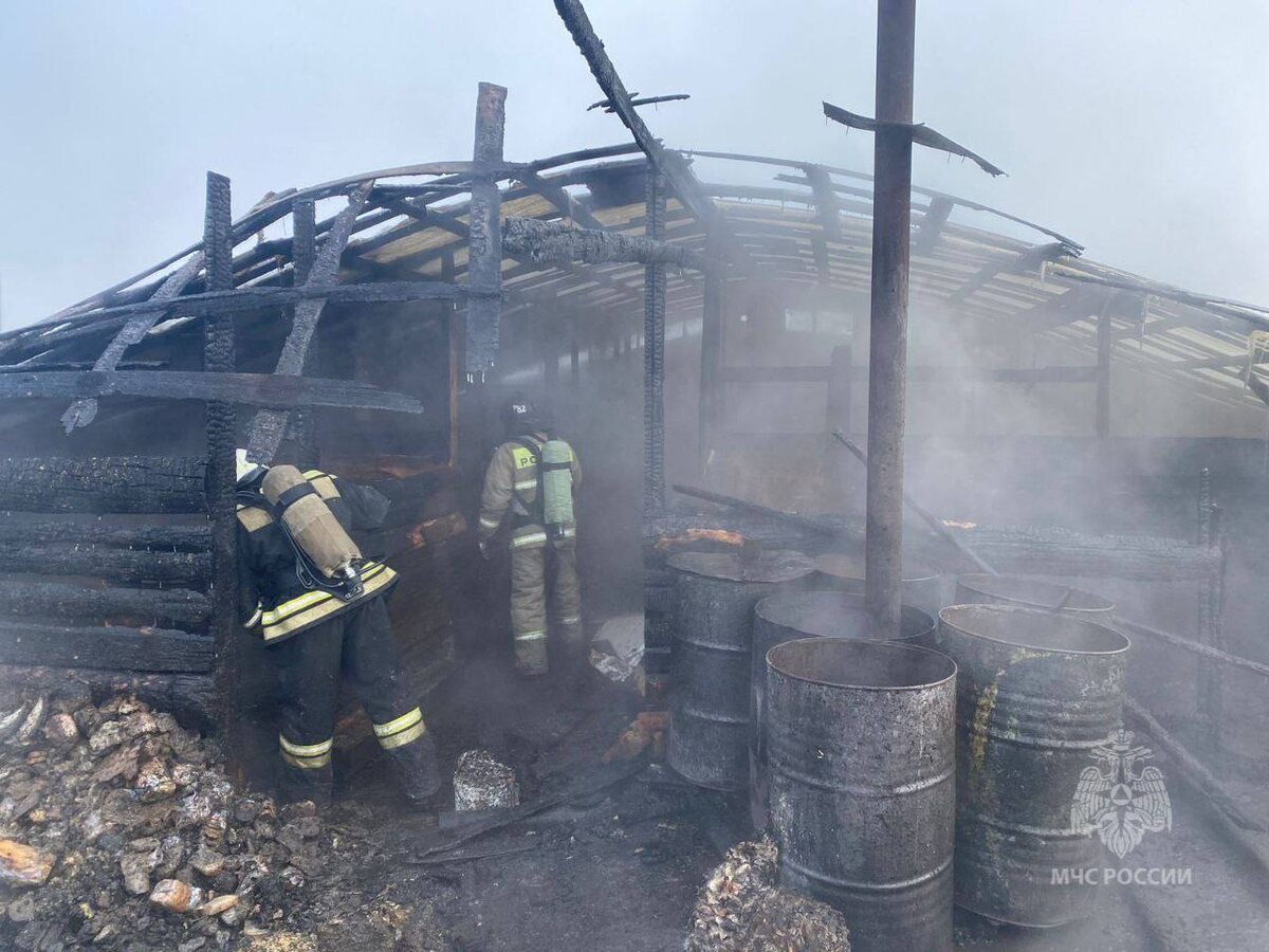    Фото: Telegram-канал «МЧС России»