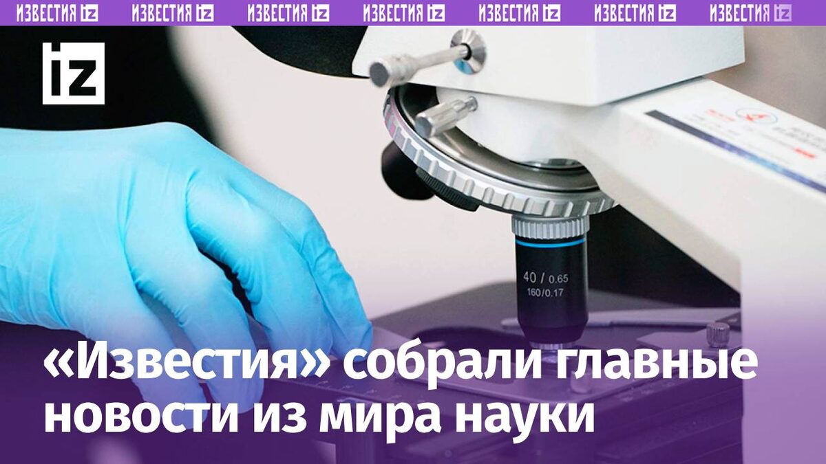 Фото: ИЗВЕСТИЯ/Сергей Лантюхов