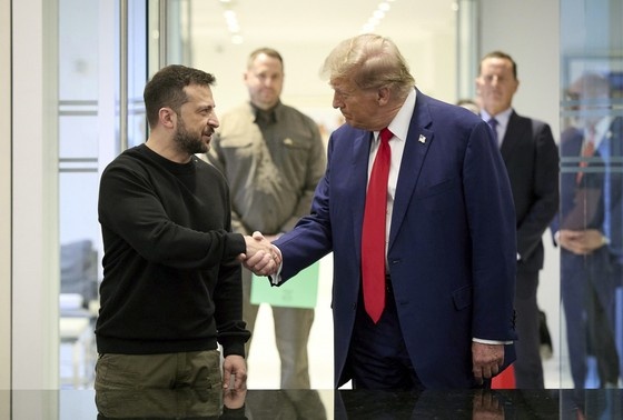    Дональд Трамп и Владимир Зеленский