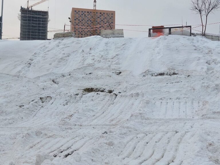    Фото: t.me/mosgibdd77 Анфиса Слепцова