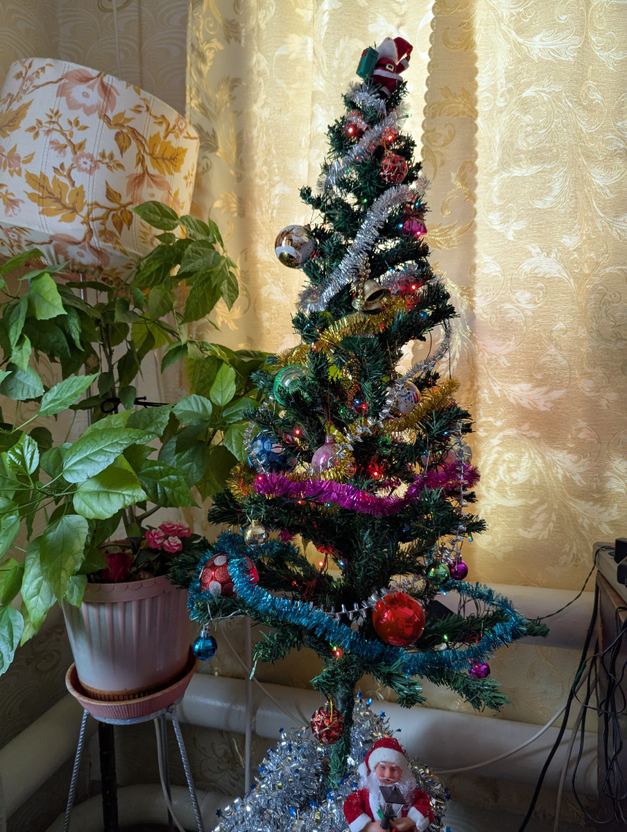 Фото сделано автором.