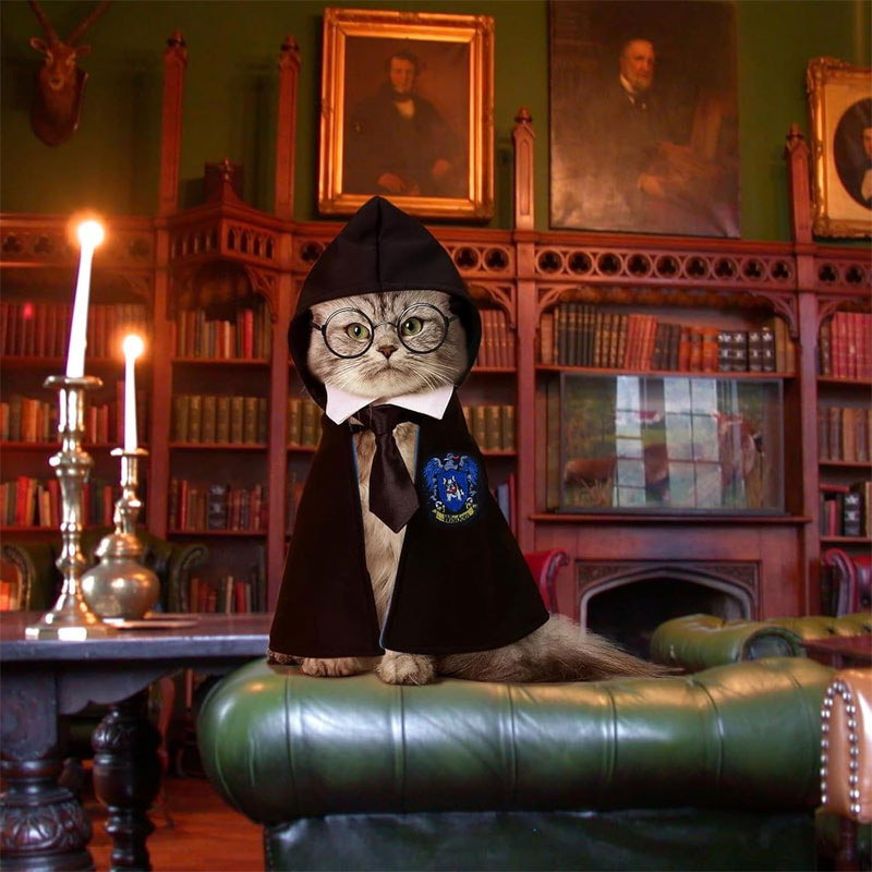 Мантия для кота