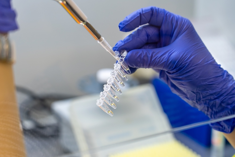 Фото из свободных источников