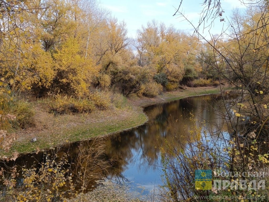     «Почему браконьеры потеряли всякий страх?» — Волжанку возмущает наглость рыбаков-нарушителей
