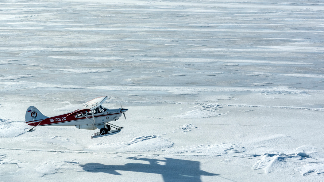    фото: Serguei Fomine/Globallookpress