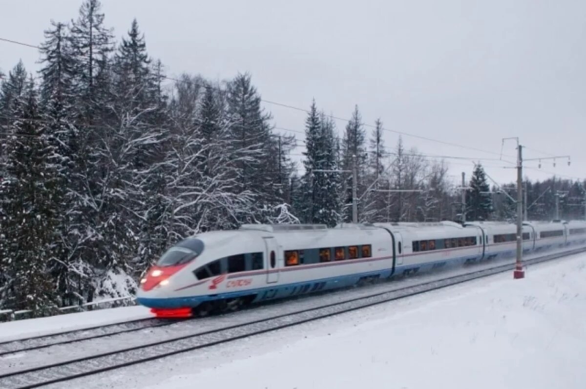    «Сапсаны» могут выйти на направлениях Белгорода и Нижнего Новгорода