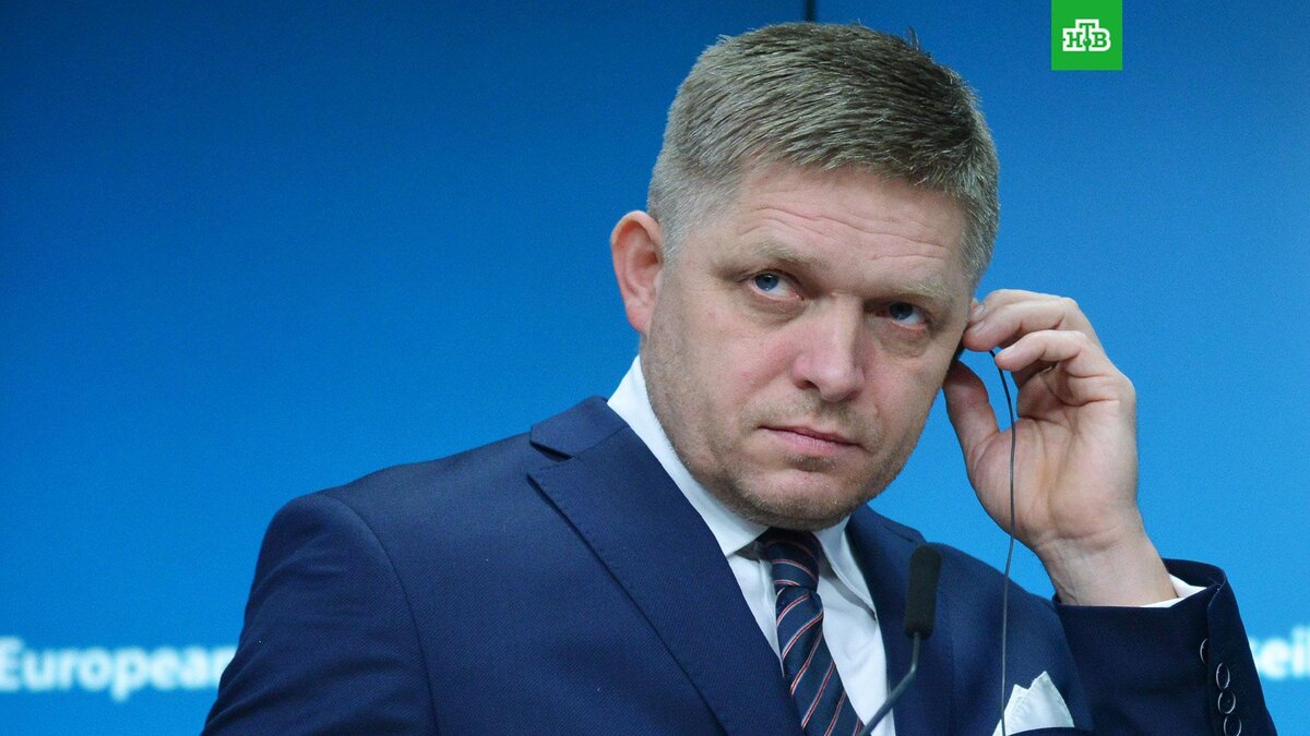    Фото: РИА Новости © 2024, Алексей Витвицкий