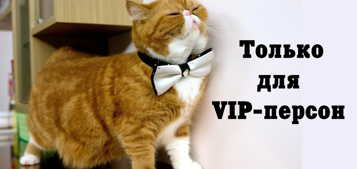 Авторский коллаж, фотография - из интернета