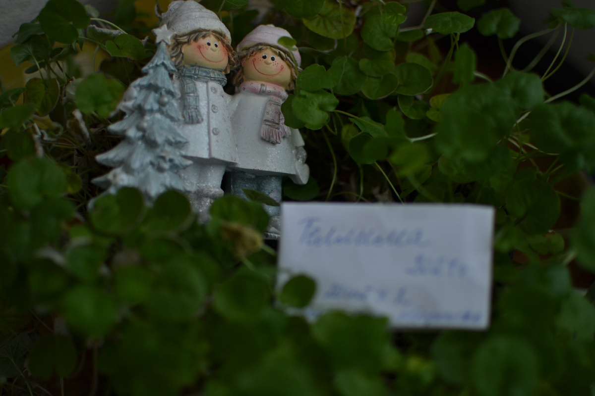 А здесь другой фокус, и можно разглядеть двух помощников