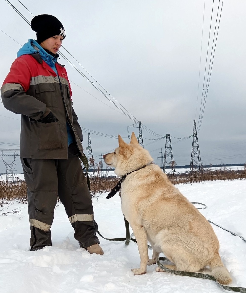 Примерно вот так Милочка и ждет Дедушку