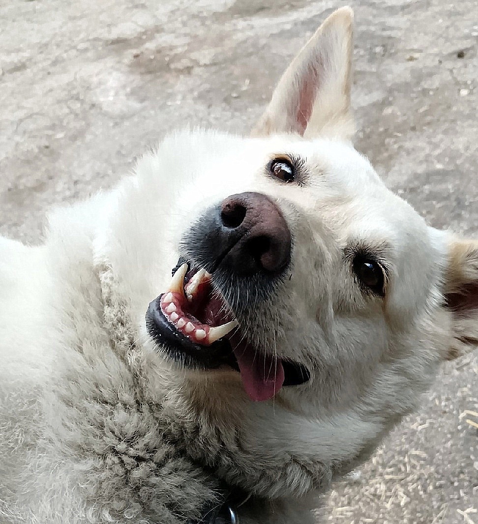 А как же Мила хороша, и это имя очень ей подходит!