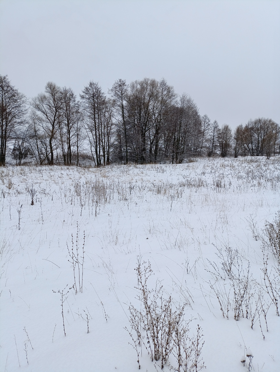 Личное фото 