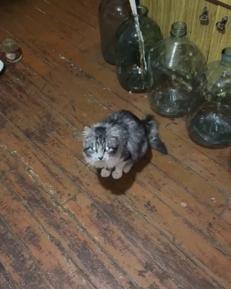 Фото автора. Ждёт.