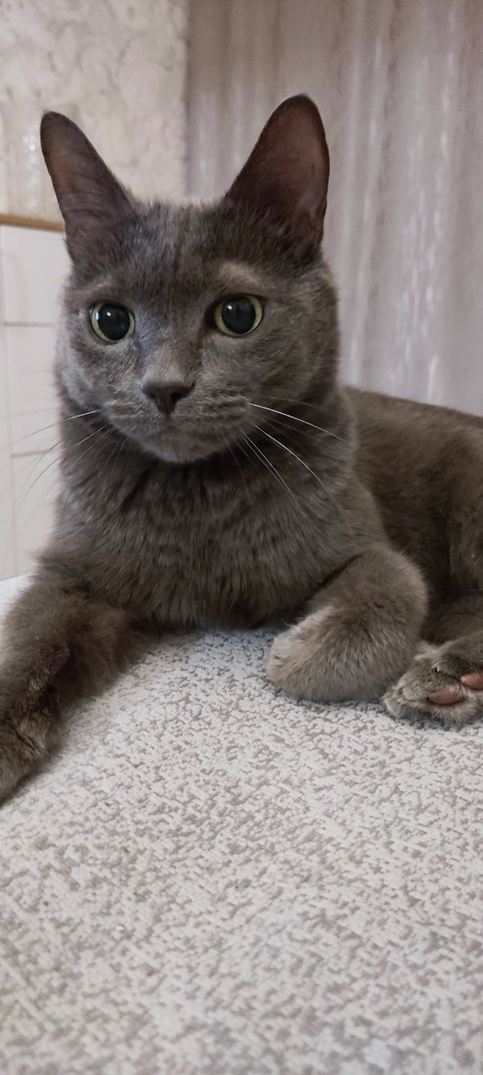 Себастьян такой важный. 