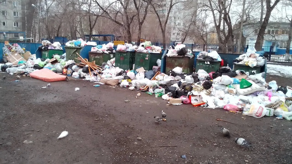 Фото из Интернета.