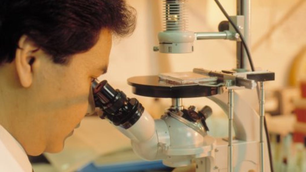    фото: Globallookpress