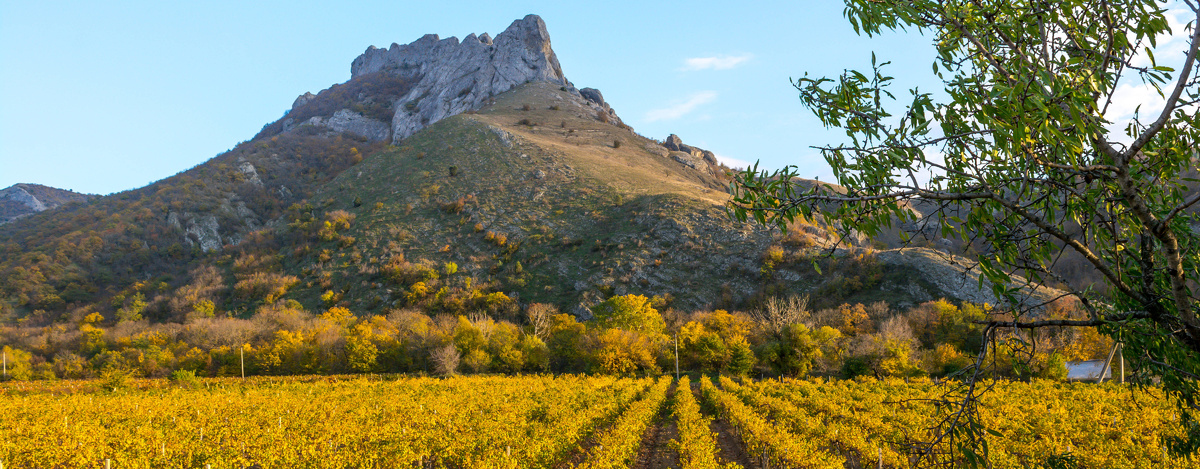 Фото: Андрей Муравин