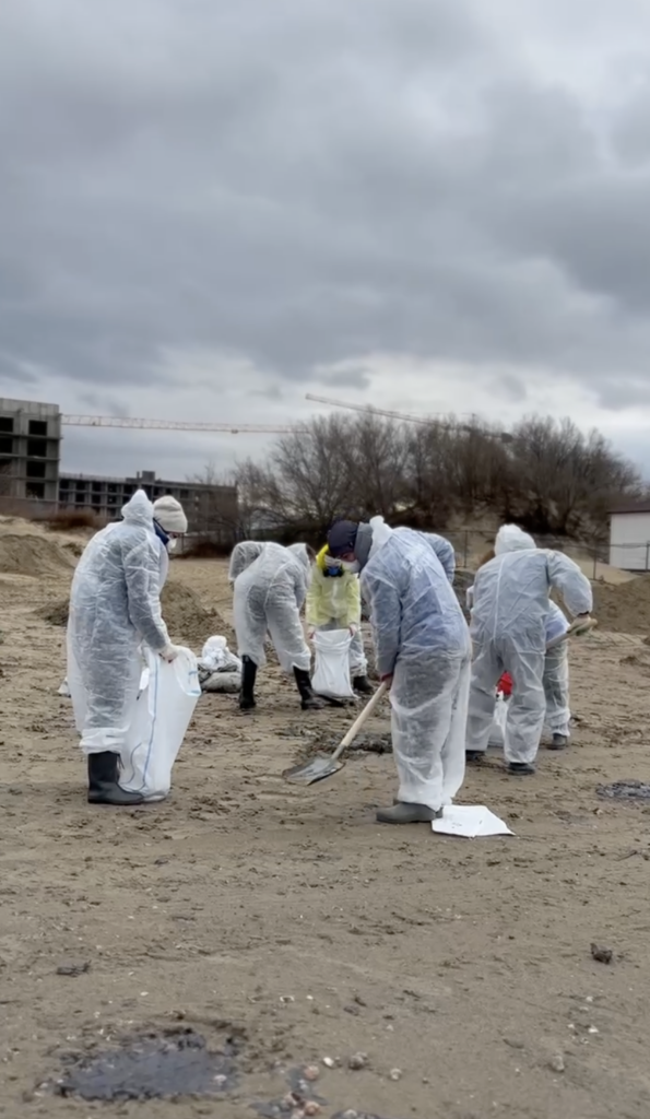 Фото: Краснодарские известия📷


📷

