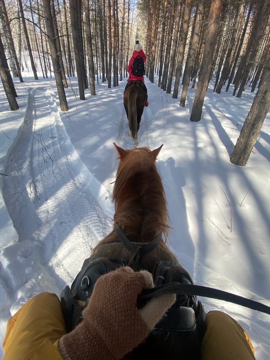 

Тур "Новогодняя ночь на хуторе Яндык" - от 19 000 руб.

Это классический тур, который подходит абсолютно любому возрасту. 31 декабря мы выезжаем в 14:00 и прибываем к вечеру на хутор, окруженный горами и зимним лесом. Вокруг - ТИШИНА. В этот день мы знакомимся, вкусно кушаем на банкете и встречаем Новый год. Начинаем год со снегоходно-конной прогулки по хребту Маярдак, позже — играем, гуляем, фотографируемся, кушаем и наслаждаемся банькой. Ну а завершающий третий день будет активным — едем на одну из самых популярных горнолыжек – ГЛЦ Абзаково, где можно не только кататься, но и погулять, поиграть с животными и пр. (оплачивается отдельно).

Входит: проезд, питание, проживание 2 ночи на базе в 2/3х местных номерах, баня, пешее восхождение на вершину с инструктором, страховка от несчастного случая, снегоходно-конный тур 5 часов.