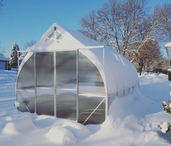 фото из инета. Теплица закрыта.