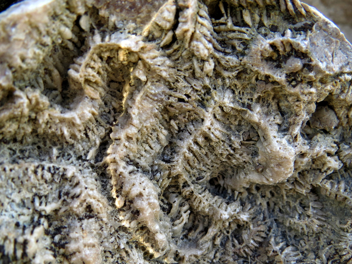 Листайте галерею.