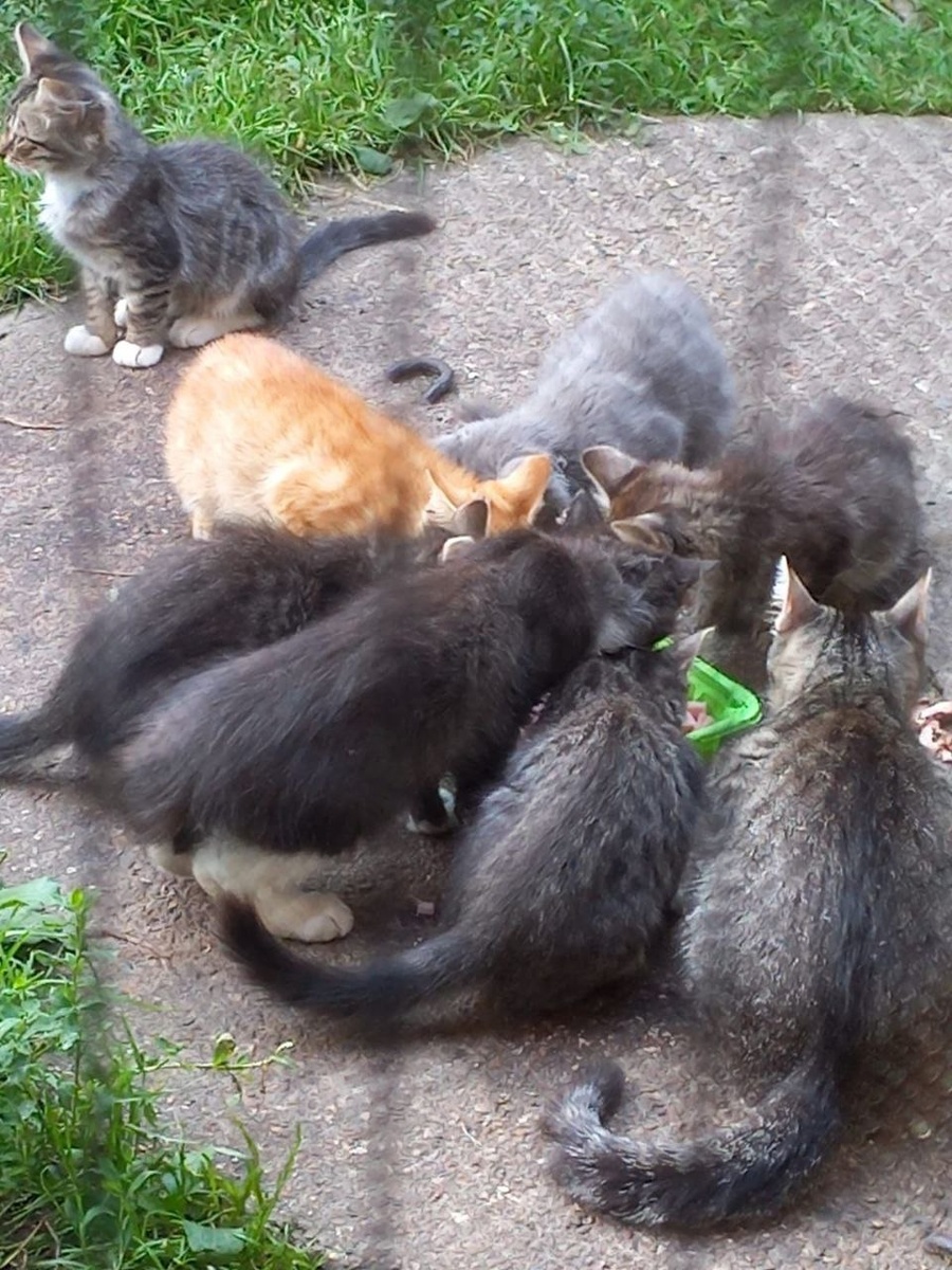 Это фото нам прислали при первом обращении.