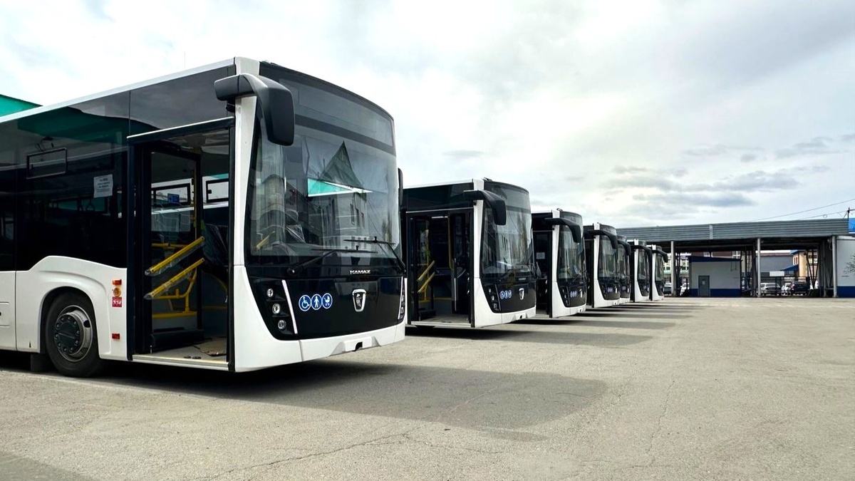    430 млн рублей потратят в Сургуте на закупку автобусов