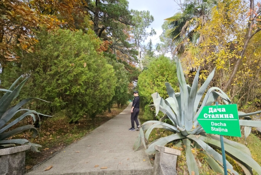 Фото из личного архива, живописная территория Зеленая роща