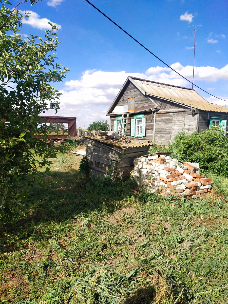 Дачка, лето 2022. 