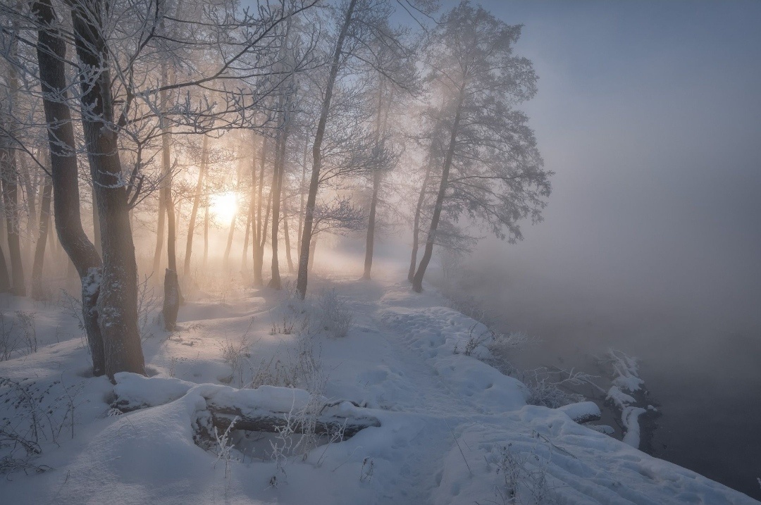 Фото из интернета