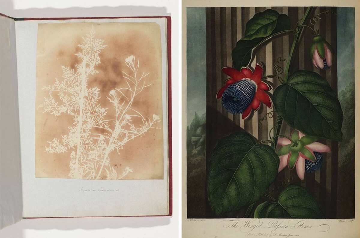 Изображение: Met Museum / Cosmos