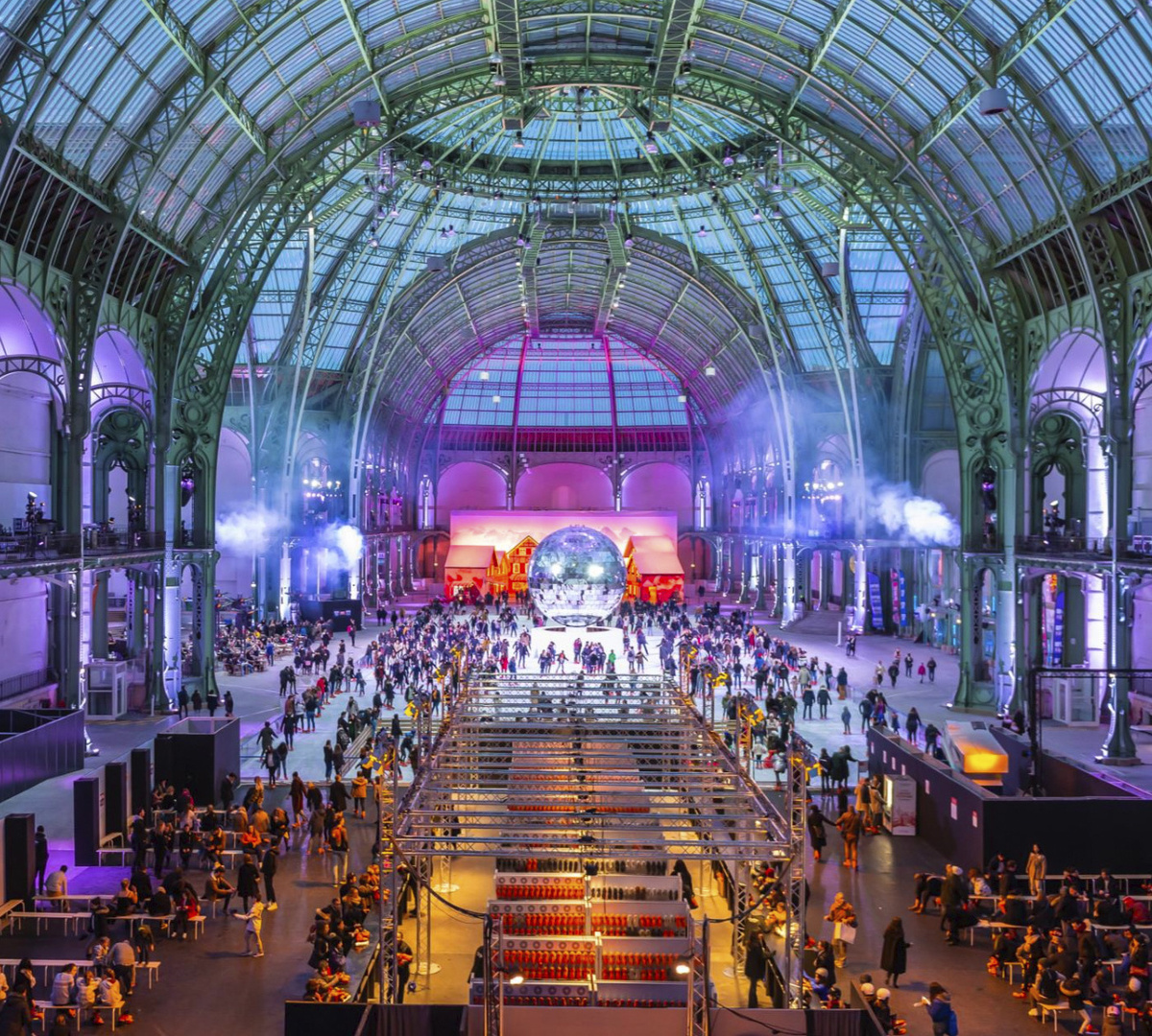 Так каток должен выглядеть вечером. Фото с официального сайта https://legrandpalaisdesglaces.fr/en/
