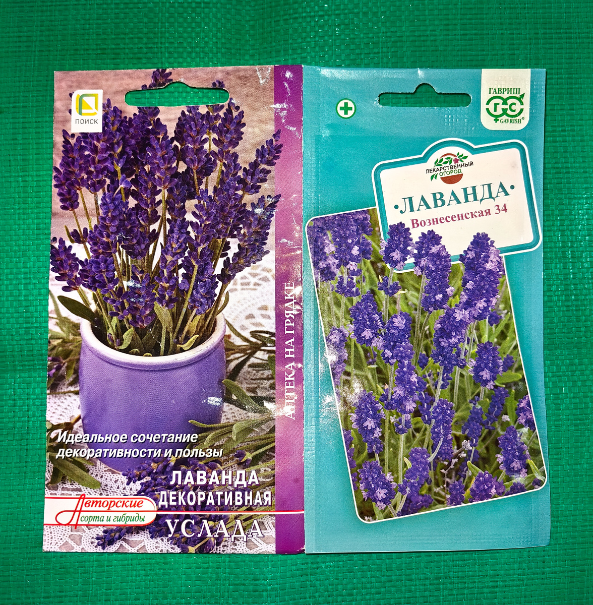 Семена лаванды