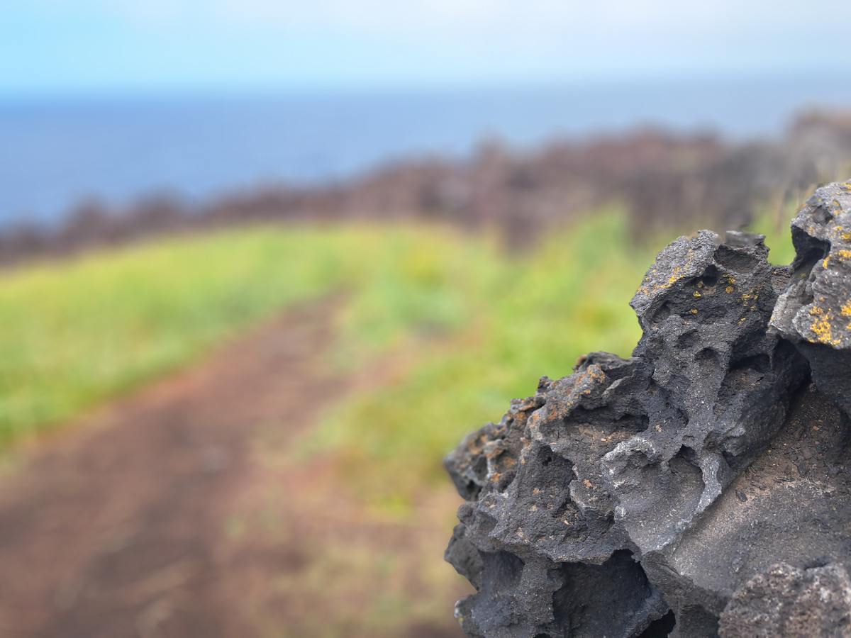 Лавовые поля в России