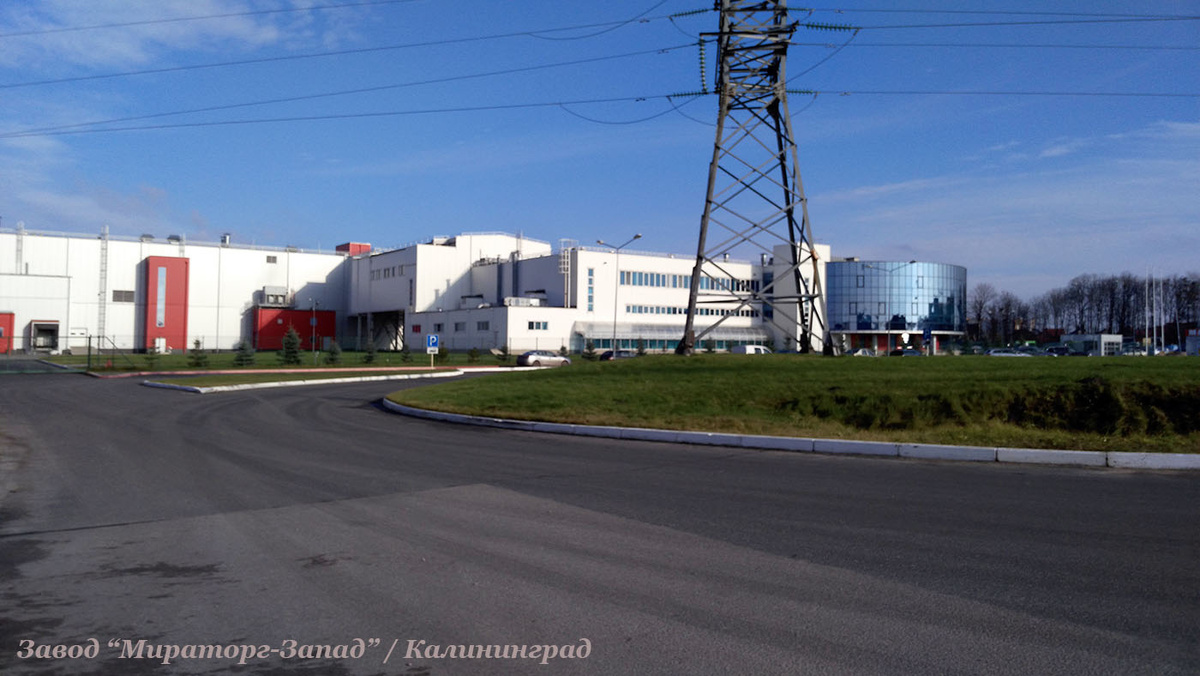 это было в 2016-м 